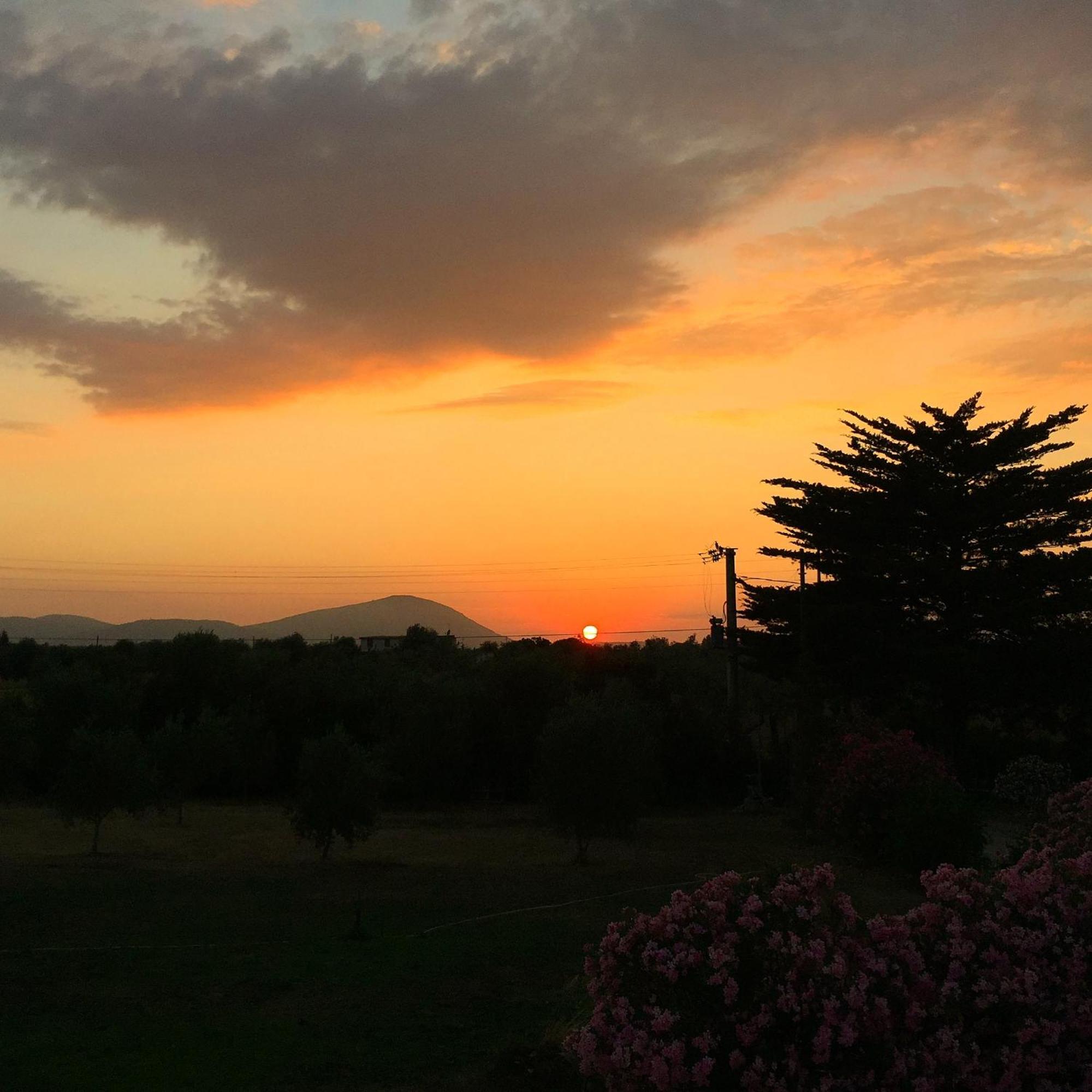 Appartamento L'Ulivo Alghero Esterno foto